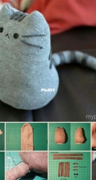socks cat