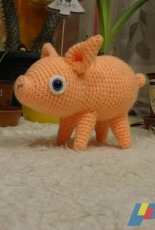 Pig