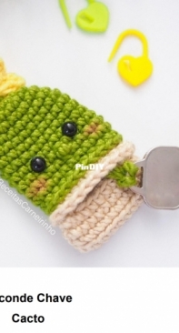 Receitas Carneirinho - Izabel Carneiro - Cactus Key Cover - Esconde Chaves Cacto -  Portuguese