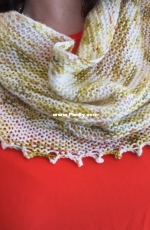 Easy LYS Shawl by nycraft craftivist-Free