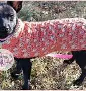 Little Luvies Shop-Jennifer Prekopa - Cozy Puppy Sweater