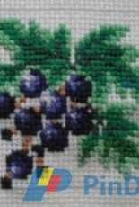grapes