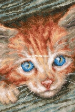 RTO M710 Fluffy Observer XSD