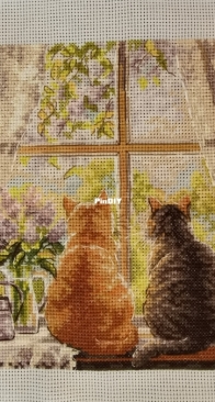 Cats - Purring Spring - Мурчащая весна
