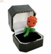 Tiny rose by Anna Hrachovec of Mohimochi Land