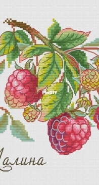M.P. Studio - NV-816 - Raspberries