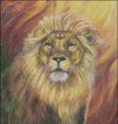 HAED HAEDAEN-104 Ember by Arden Ellen Nixon