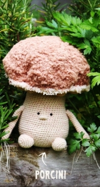 Pink Pumpkin Studio - Maja Piskorska - Pili the Porcini