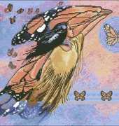 Dimensions 344 On Butterfly Wings XSD