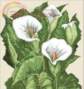 White Calla from Wonderful Moments magazine