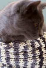 Cross-Country Cables Cowl by Jaala Spiro -Free