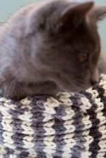 Cross-Country Cables Cowl by Jaala Spiro -Free