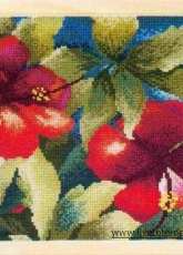 DMC - APD BK209 - Hibiscus