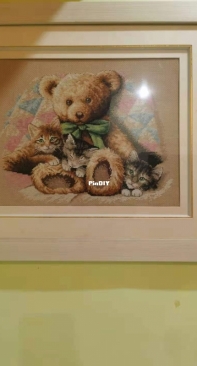 Teddy Bear