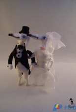 Groome and Bride