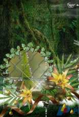 Digital scrapbooking