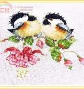 FUCHSIA CHICK-CHAT