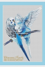 Blue Budgies by Svetlana Gamova / Светлана Гамова