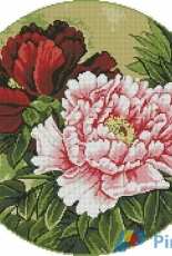 Krif 1308 Peony