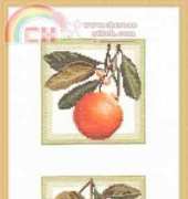 Zolotoe Runo ZR FS-001 Oranges