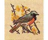 Eva Rosenstand 25-216 - Common Redstart