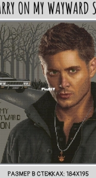 Carry On My Wayward Son by Svetlana Petko