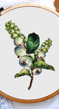 Snowberry by Irina Zagorodskaya