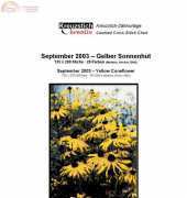 Kreuzstich Kreativ - Yellow Coneflower