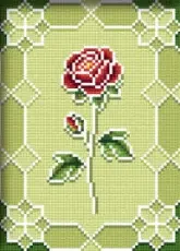 Solaria Gallery - Spring Peony