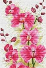 Resplendent Orchid from Cross Stitch Collection 160 XSD
