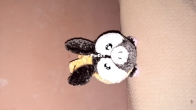 Ranma pchan