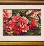Dimensions coral peonies