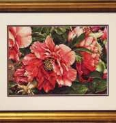 Dimensions coral peonies