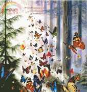 HAED HAEDAP 1012 Butterfly Wood