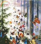 HAED HAEDAP 1012 Butterfly Wood