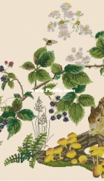Thea Gouverneur - TG 1071 - Squirrel XSD