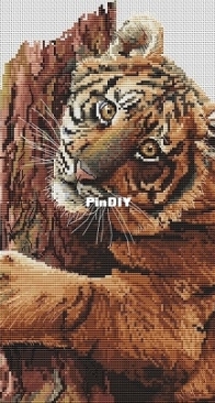 Baby tiger by Svetlana Kaimak