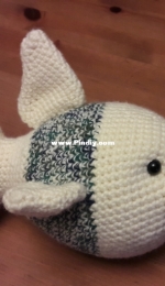 Finley Fish
