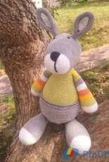 Kangaroo