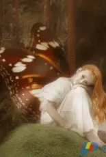 HAED HAEMD 101 Terania Creek Faerie by Margaret Dean