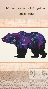 Mari Bori Embroidery - Space Bear