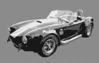 The Wooly Duck - Shelby Cobra