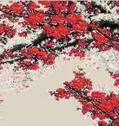 Plums in Full Blossoms