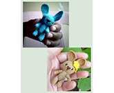 Racquel Alexia Barrett  - Miniature Amigurumi Bunny - Swedish - Free
