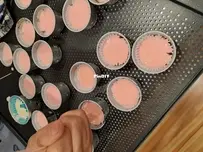 Bolu kukus