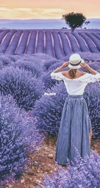 Lavender by Elena Petrova