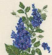 DMC BK247 Buddleia