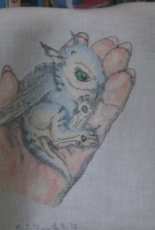 Young Dragon
