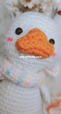 duck