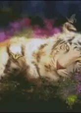 HAED HAEAIS 139 Tiger Dreams by Aimee Stewart XSD